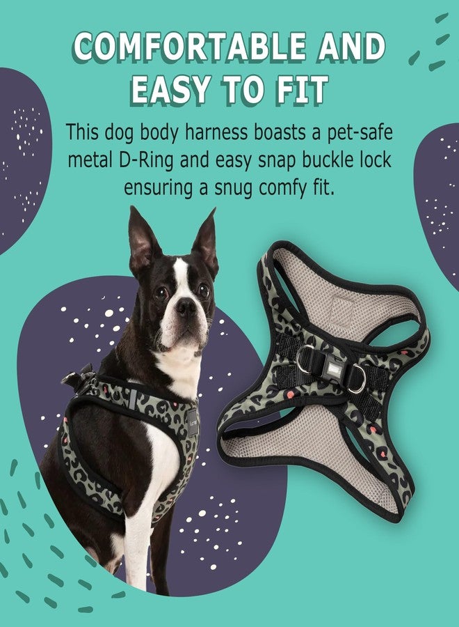 FuzzYard Savanna Step in Dog Harness | Size XL | Comfortable Fit for Everyday Walking & Training - Image 3